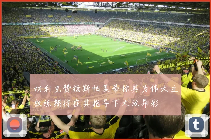 切利克赞扬斯帕莱蒂称其为伟大主教练期待在其指导下大放异彩