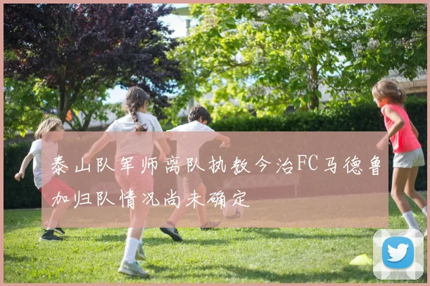 泰山队军师离队执教今治FC马德鲁加归队情况尚未确定